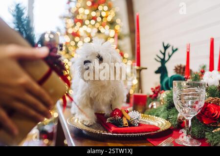 Piccolo terrier bianco su un tavolo decorativo di natale Foto Stock
