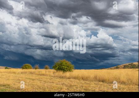 Tempeste serali che attraversano la campagna di Blayney, nel centro-ovest del nuovo Galles del Sud, Australia. Foto Stock
