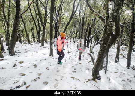 Escursionisti nella foresta di Son Palou Foto Stock