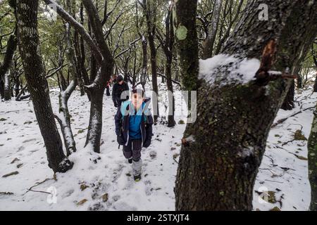 Escursionisti nella foresta di Son Palou Foto Stock