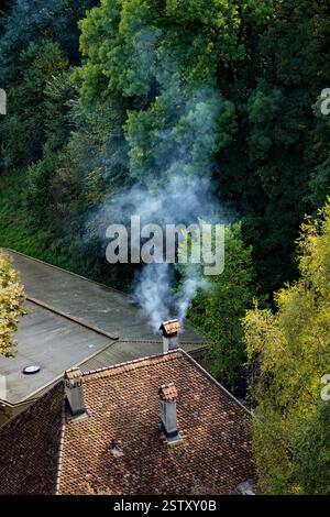 Tetto inclinato con camino fumante di tradizionale edificio piastrellato contro gli alberi. Foto Stock