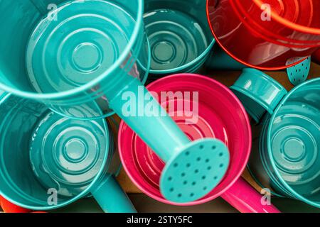 Coloratissimi fiori invasati Foto Stock