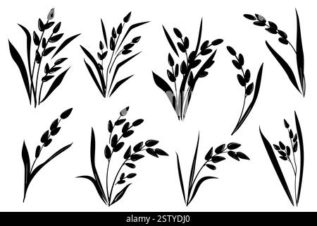 Set di orecchie di riso a grana nera, isolata su sfondo bianco. Illustrazione dello schizzo disegnato a mano vettoriale. Piante, foglie, cereali, agricoltura Illustrazione Vettoriale