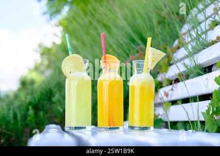 Succhi di frutta rinfrescanti in bottiglie di vetro guarnite con fette di frutta Foto Stock