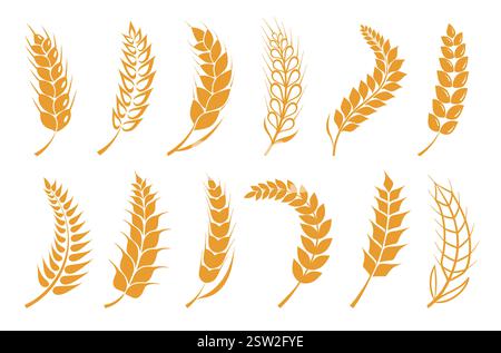 Icone grano. Sagome delle orecchie curve. Elementi agricoli. Colture di cereali. Diverse forme piatte. Stilizzazione dei semi gialli. Punte di segale e orzo Illustrazione Vettoriale