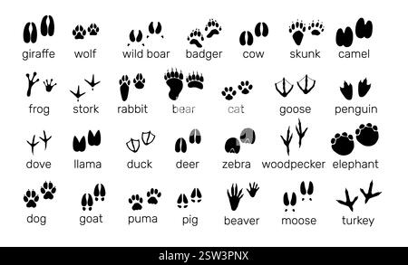 Impronte di animali. Percorsi naturalistici e ornitologici. Diverse impronte di zampa. Icone con impronta silhouette nera. Passi di orso e coniglio. Pawprint d'oca. Fauna trai Illustrazione Vettoriale
