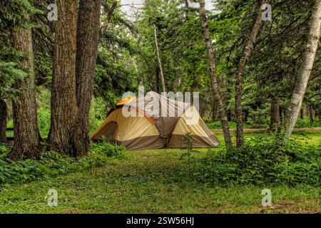 La tenda è allestita in una foresta. La tenda è grande, arancione e marrone Foto Stock