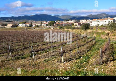 Sant Martí Sarroca, città. Alt Penedès, Barcellona, Catalogna, Spagna. Foto Stock