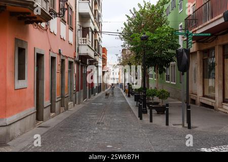 Strada della città vecchia. Galdar è l'antica capitale dell'isola, risalente al periodo pre-ispanico. Foto Stock