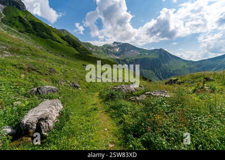 Il sentiero escursionistico conduce attraverso prati verdi lussureggianti con affioramenti rocciosi che presentano uno splendido paesaggio bavarese Foto Stock