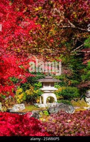 Konkai Komyouji Temple Gardens Kyoto Giappone Foto Stock