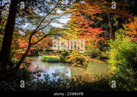 Konkai Komyouji Temple Gardens Kyoto Giappone Foto Stock