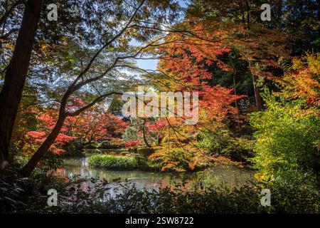 Konkai Komyouji Temple Gardens Kyoto Giappone Foto Stock