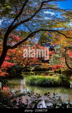 Konkai Komyouji Temple Gardens Kyoto Giappone Foto Stock