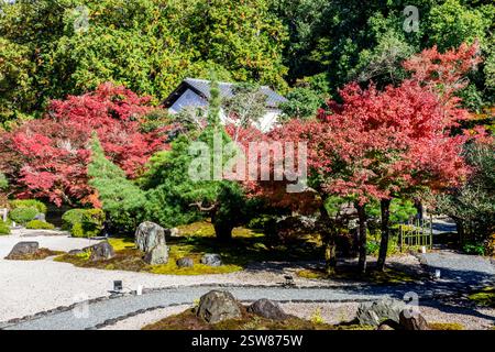 Konkai Komyouji Temple Gardens Kyoto Giappone Foto Stock