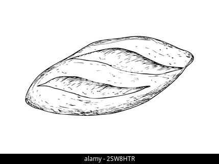Pane vettoriale e panetteria. Pagnotta a inchiostro grafico, pane integrale, ciabatta, marrone fatto in casa, baguette. Illustrazione Bun isolata sullo sfondo. Mano Illustrazione Vettoriale
