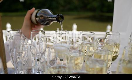 Vino frizzante dorato versato in una fila di eleganti bicchieri, creando un'atmosfera celebrativa Foto Stock