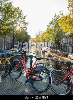 Le foglie autunnali danzano sui tranquilli canali di Amsterdam mentre le biciclette costeggiano il percorso sul lungomare Foto Stock