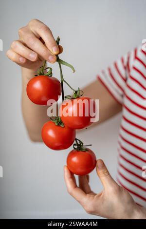 Donna in possesso di pomodori freschi maturi biologici sul ramo Foto Stock