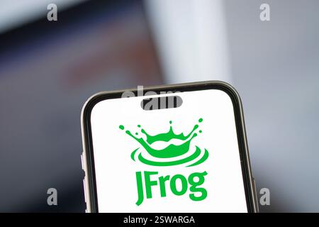 Dacca, Bangladesh- 14 novembre 2024: Il logo JFrog viene visualizzato sullo smartphone. Foto Stock