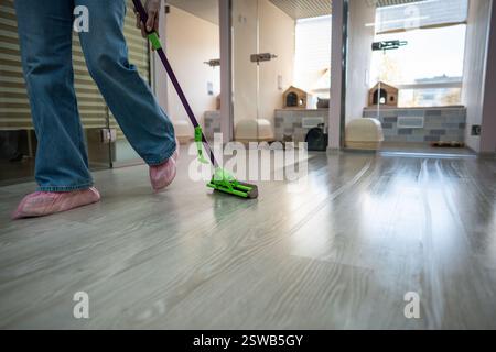 Il personale pulisce il pavimento per garantire uno spazio igienico e confortevole per i gatti nell'hotel in cui sono ammessi gli animali domestici. Manutenzione e igienizzazione Foto Stock
