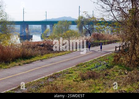 Cheongju, Corea del Sud - 12 novembre 2020: Una bicicletta giace sull'erba vicino a una pista ciclabile, mentre il ponte ferroviario KTX attraversa il fiume nella ba Foto Stock