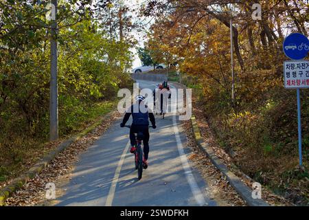 Sejong City, Corea del Sud - 12 novembre 2020: Un gruppo di ciclisti corre in salita lungo la pista ciclabile di Ocheon, circondata da fogliame autunnale mentre naviga Foto Stock
