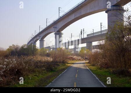 Cheongju, Corea del Sud - 12 novembre 2020: Un viadotto ferroviario ad alta velocità si estende su una pista ciclabile, che si snoda in lontananza mentre i ciclisti cavalcano bene Foto Stock