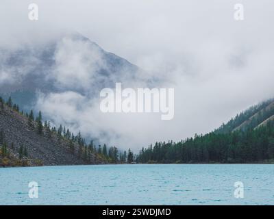 Sagome di abete in collina lungo il lago di montagna in fitta nebbia. Riflesso di conifere nell'acqua blu. Terra alpina tranquilla Foto Stock