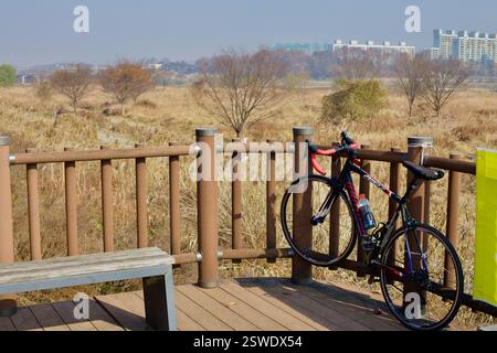 Cheongju, Corea del Sud - 12 novembre 2020: Un'elegante bici da strada si appoggia contro una ringhiera di legno in un punto panoramico, con praterie d'autunno dorate Foto Stock