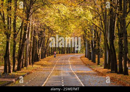 Vicolo tortuoso autunnale con la silhouette di una madre che cammina con un passeggino. Foto Stock