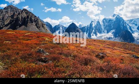 Meraviglioso paesaggio alpino con betulla nana arancione autunnale ai piedi della montagna rocciosa sotto il sole. Paesaggio montuoso con gr Foto Stock