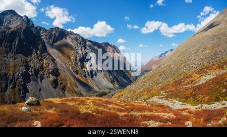 Meraviglioso paesaggio alpino con betulla nana arancione autunnale ai piedi della montagna rocciosa sotto il sole. Paesaggio montuoso con gr Foto Stock