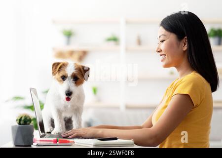 Vista laterale della signora giapponese che naviga su Internet a casa Foto Stock