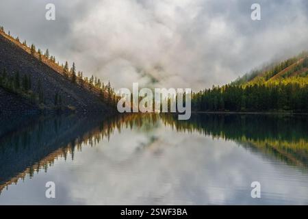 Sagome di abete in collina lungo il lago di montagna in fitta nebbia. Riflesso di conifere nell'acqua blu. Terra alpina tranquilla Foto Stock