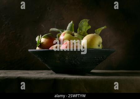 Mele verdi rosse da giardinaggio biologiche mature con foglie Foto Stock