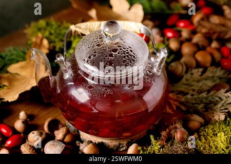 Tè alle erbe e frutti di bosco sullo sfondo magico della foresta autunnale Foto Stock