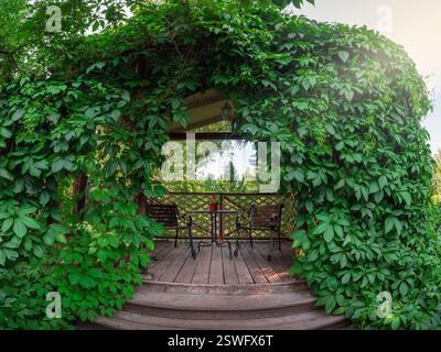 Uva da vite, gazebo in legno intrecciato con uva da vite. Uve da vite intrecciate di Arbor. Un tavolo e due poltrone in una casa estiva Foto Stock
