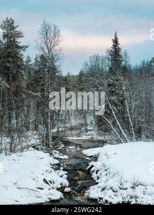 Selvaggia foresta innevata invernale del nord con fiume in una giornata polare. Foto Stock