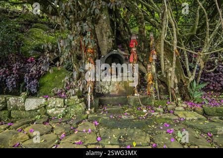 Santuario sul Pekoe Trail, Nuwara Eliya, Sri Lanka Foto Stock