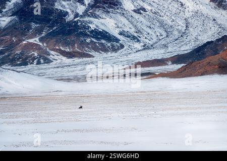 Bellissimo paesaggio invernale mongolo montagna innevata con una piccola figura di un cavaliere su un cavallo nero al galoppo attraverso un'ampia neve Foto Stock