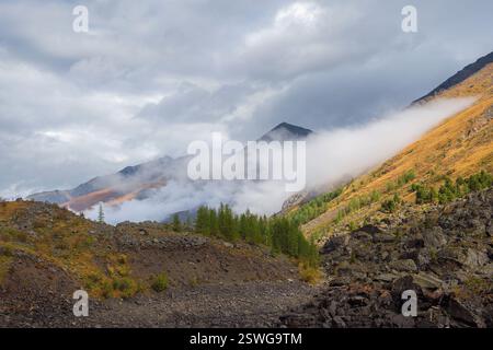 Colorato paesaggio autunnale con montagne e conifere sulla collina, con vista sulla montagna della foresta con il sole dorato nel basso clou Foto Stock