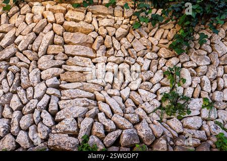 Muro di pietra viva senza Malta, Randa, Algaida, Maiorca, Isole Baleari, Spagna Foto Stock