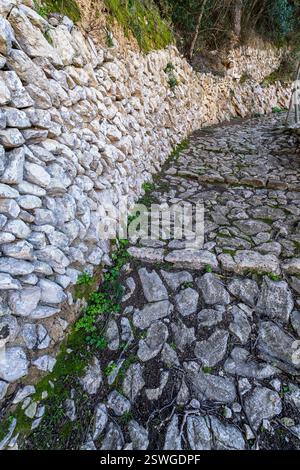 Muro e sentiero in pietra viva senza Malta, Randa, Algaida, Maiorca, Isole Baleari, Spagna Foto Stock