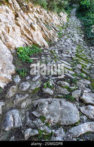 Muro e sentiero in pietra viva senza Malta, Randa, Algaida, Maiorca, Isole Baleari, Spagna Foto Stock