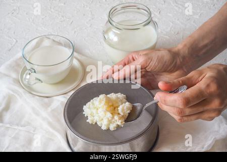 Funghi di latte tibetani. Grani di kefir di latte fatti in casa su un filtro a rete. Foto Stock
