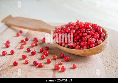 Peperoni rosa in un cucchiaio di legno. Messa a fuoco morbida. Foto Stock