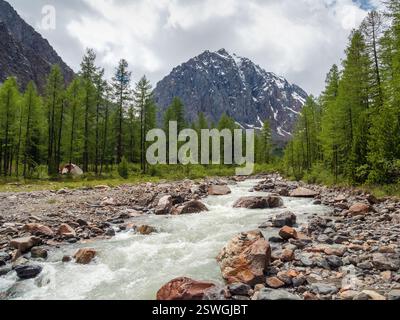 Incredibile paesaggio con potente fiume di montagna e foresta di conifere in una valle verde contro alte rocce taglienti e montagne innevate Foto Stock