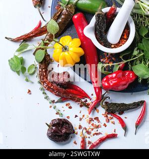 Assortimento di peperoncini ed erbe aromatiche Foto Stock