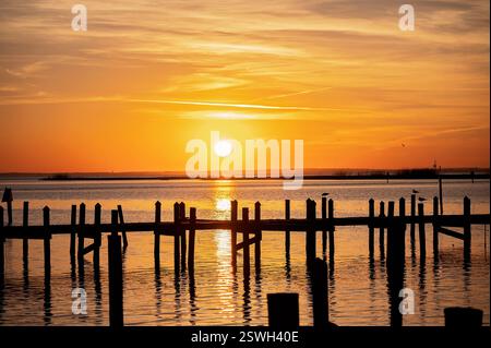 Molo sagomato e uccelli davanti a un tramonto dorato sulle acque calme Foto Stock